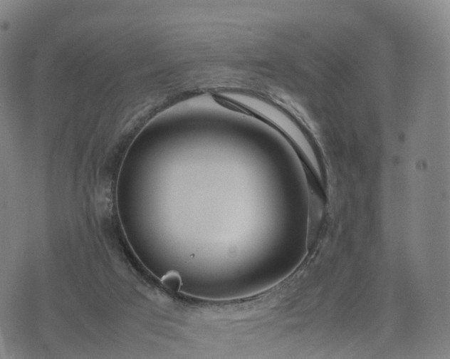 X0000074330017200609011614