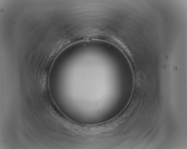 X0000074330018200609011614