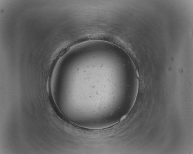 X0000074330019200609011614