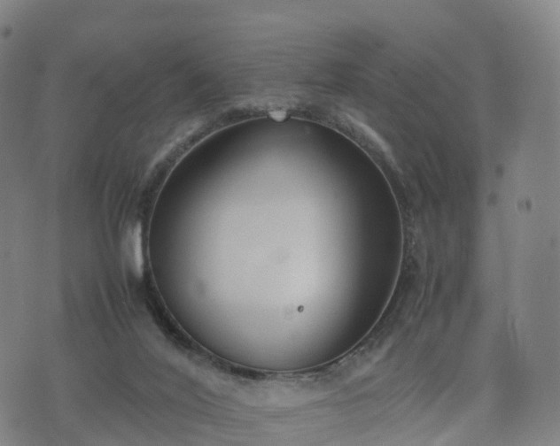 X0000074330020200609011614