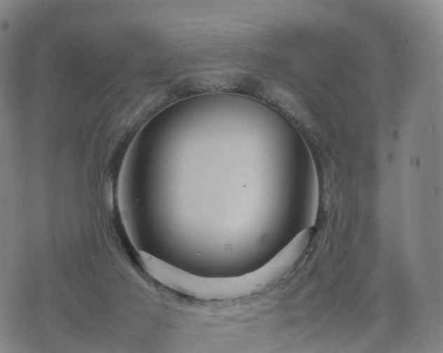 X0000074330021200609011614