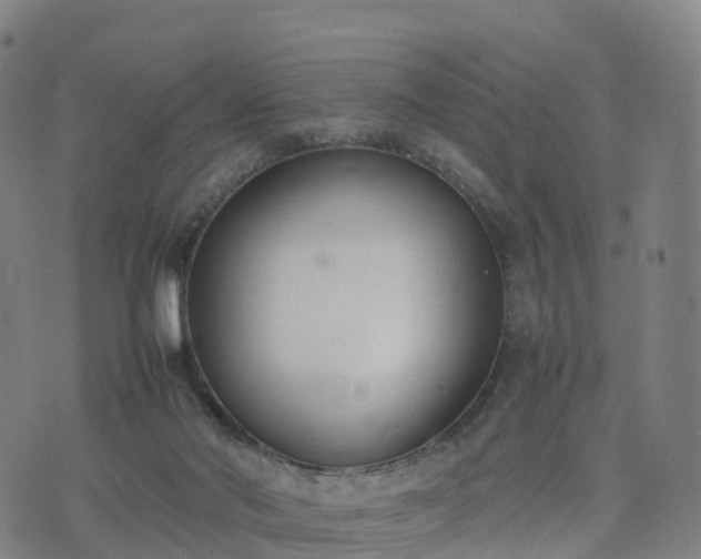 X0000074330022200609011614