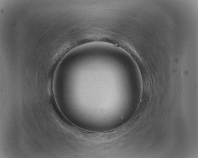 X0000074330023200609011614