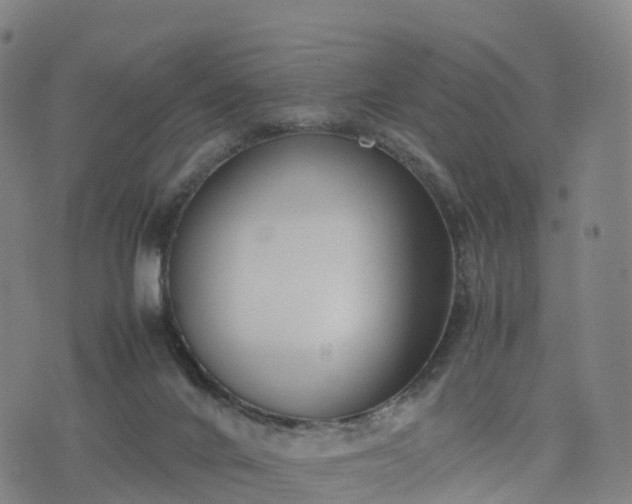 X0000074330024200609011614