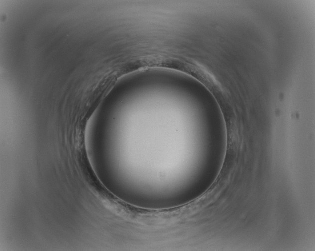 X0000074330025200609011614