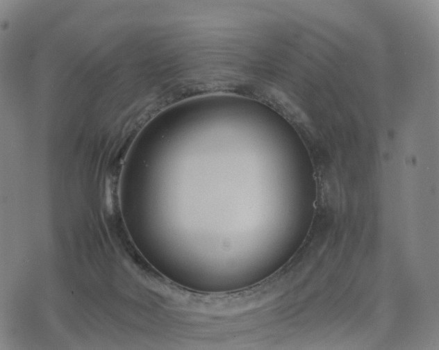 X0000074330026200609011614