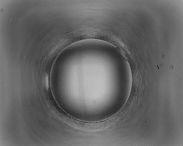 X0000074330027200609011614