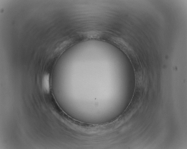 X0000074330028200609011614