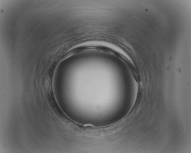 X0000074330029200609011614