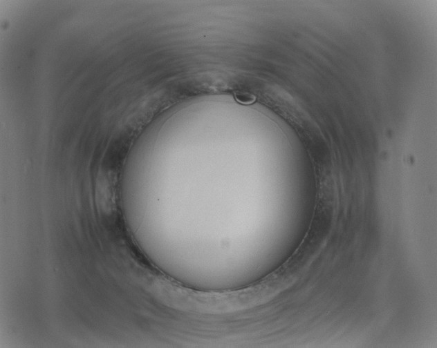 X0000074330030200609011614