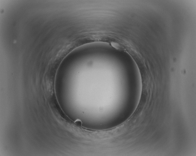 X0000074330031200609011614