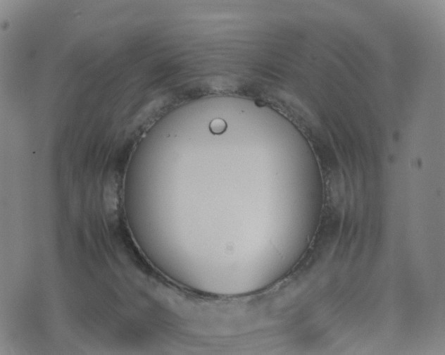 X0000074330032200609011614