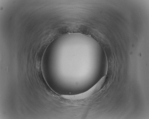 X0000074330033200609011614