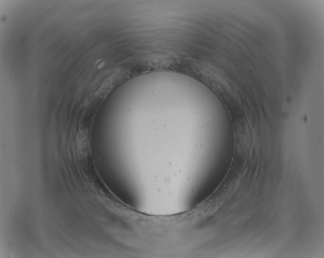 X0000074330034200609011614