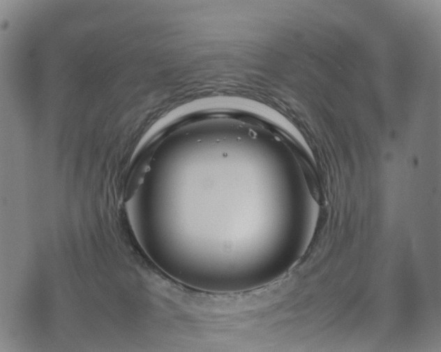 X0000074330037200609011614