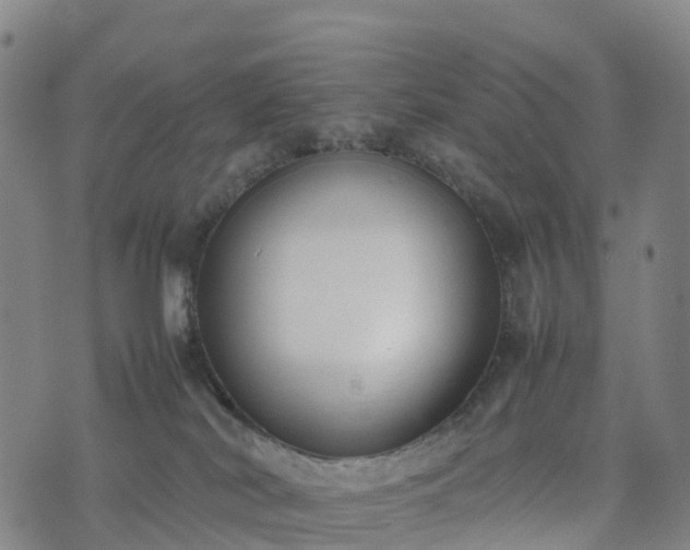 X0000074330038200609011614