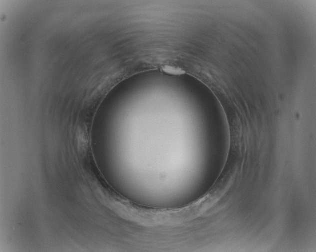 X0000074330040200609011614