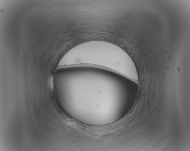 X0000074330041200609011614