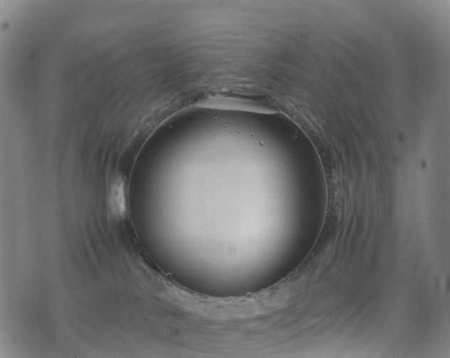 X0000074330042200609011614