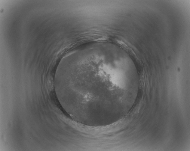 X0000074330043200609011614