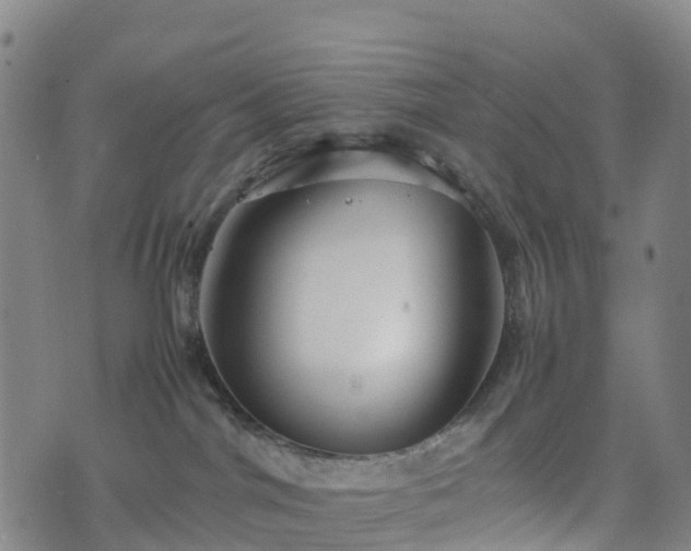 X0000074330044200609011614