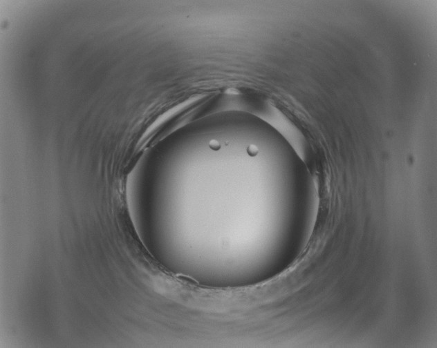 X0000074330045200609011614