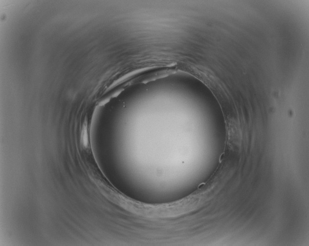 X0000074330046200609011614