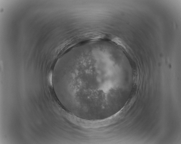 X0000074330047200609011614