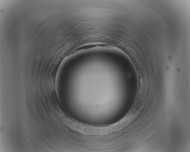 X0000074330048200609011614