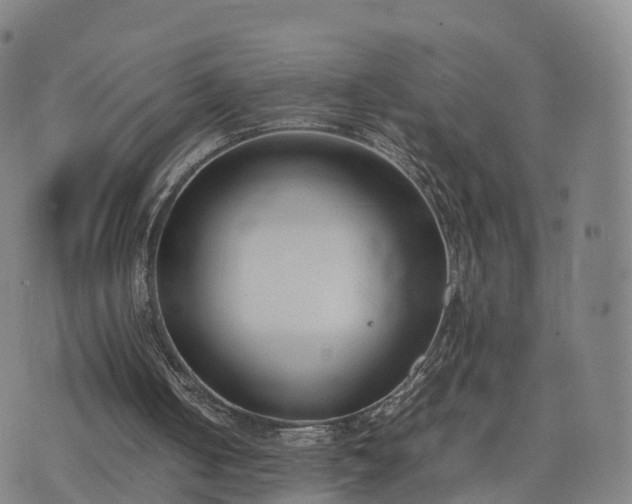 X0000074330050200609011613