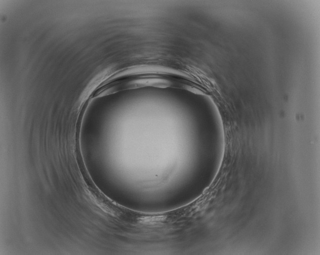 X0000074330051200609011613