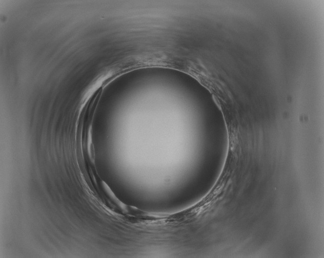 X0000074330052200609011613