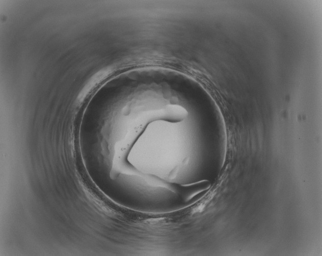 X0000074330054200609011613