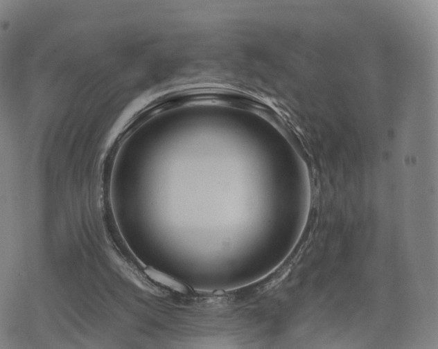 X0000074330056200609011613