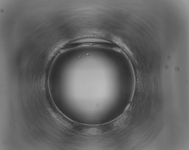 X0000074330058200609011613