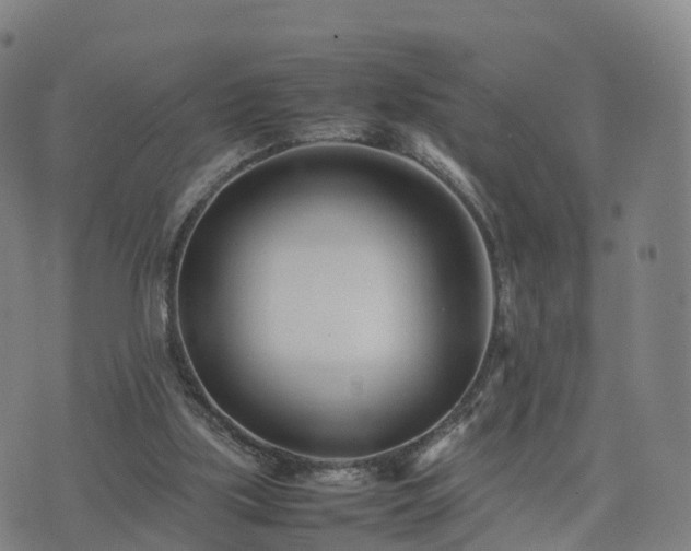 X0000074330059200609011613