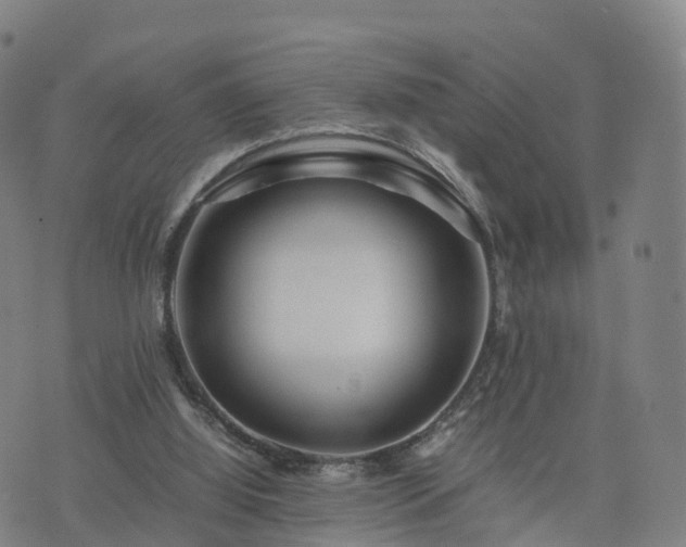 X0000074330060200609011613