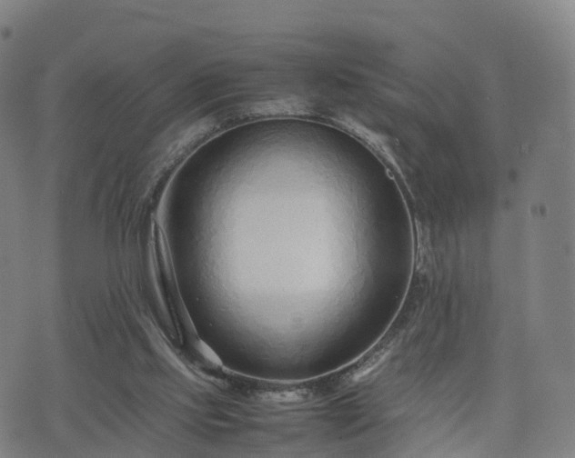 X0000074330061200609011613