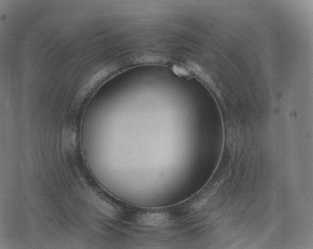 X0000074330063200609011613