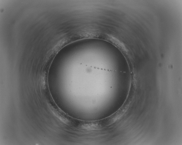 X0000074330065200609011613