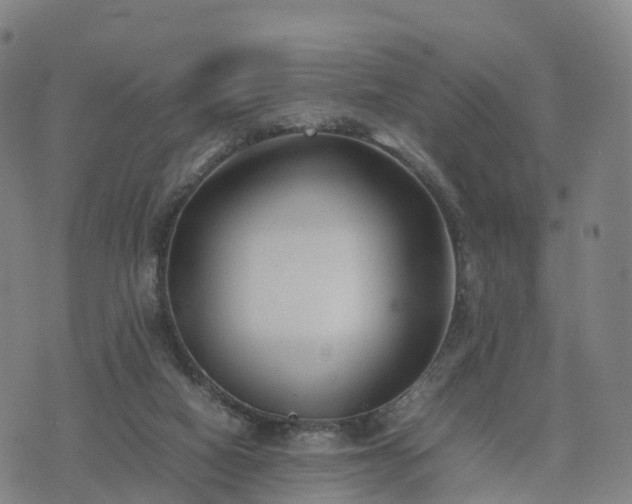 X0000074330066200609011613