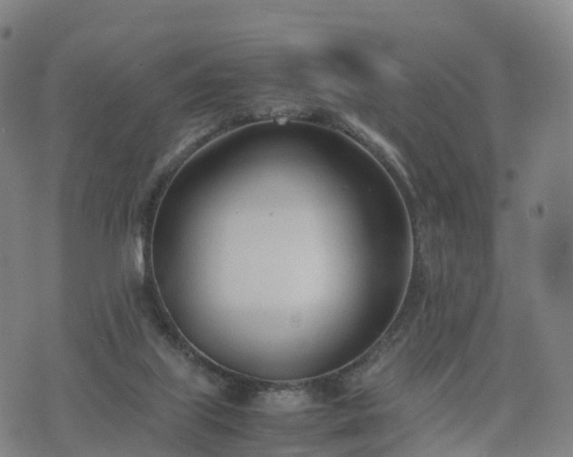 X0000074330067200609011613