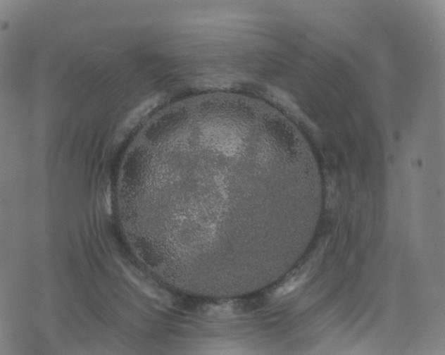 X0000074330068200609011613