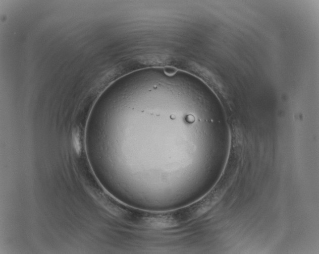 X0000074330069200609011613