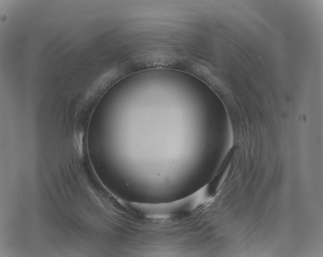 X0000074330070200609011613