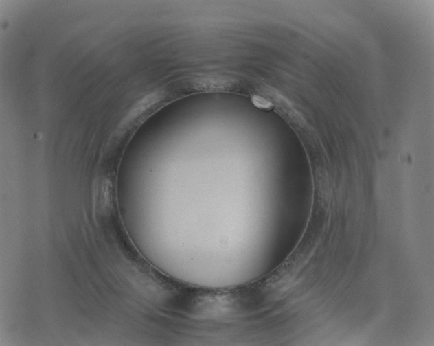 X0000074330071200609011613