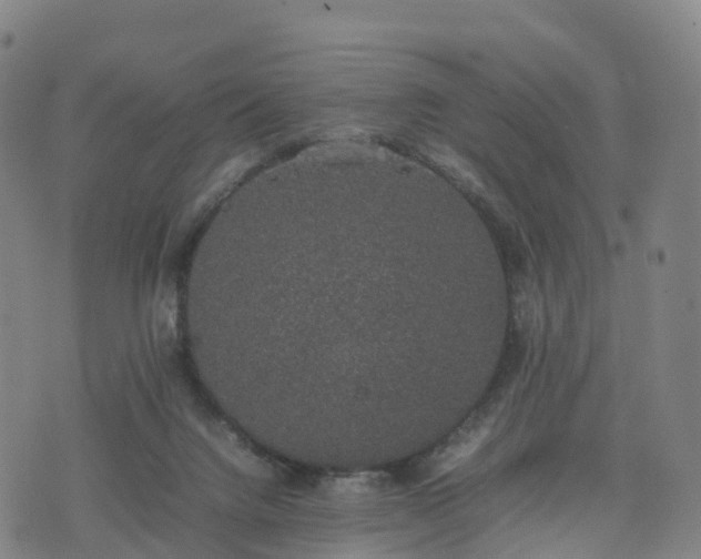 X0000074330072200609011613