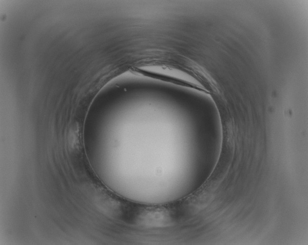 X0000074330073200609011613