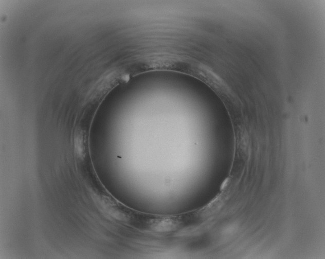 X0000074330074200609011613