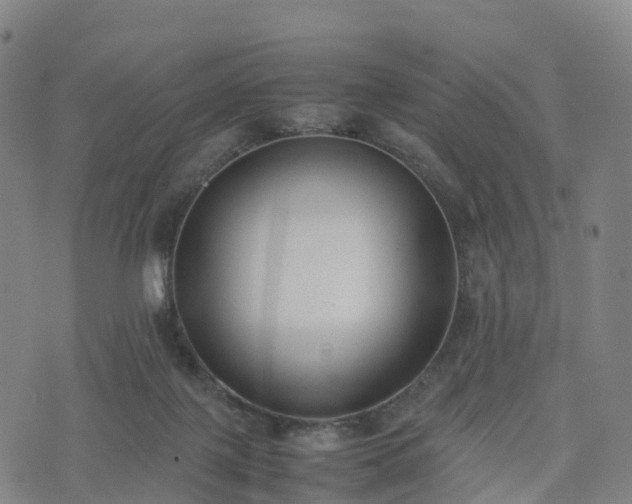 X0000074330075200609011613